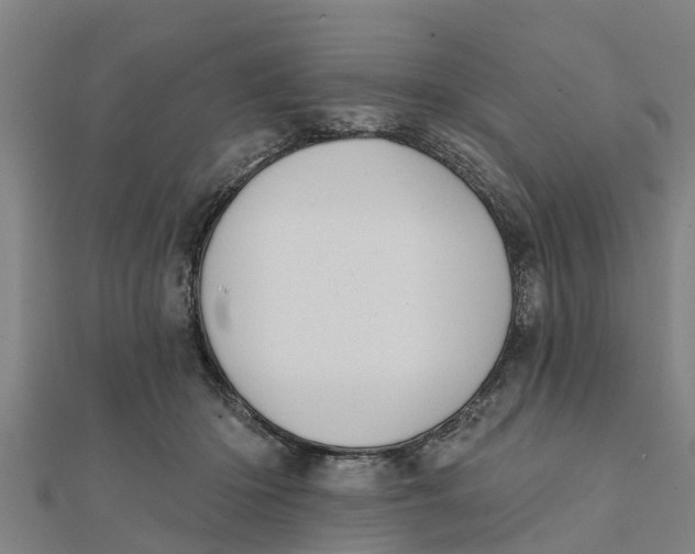 X0000111520414200908041248