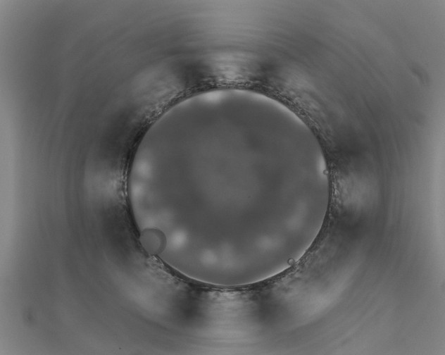 X0000111520419200908041248