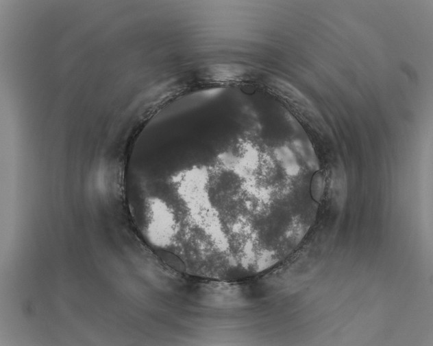 X0000111520421200908041248