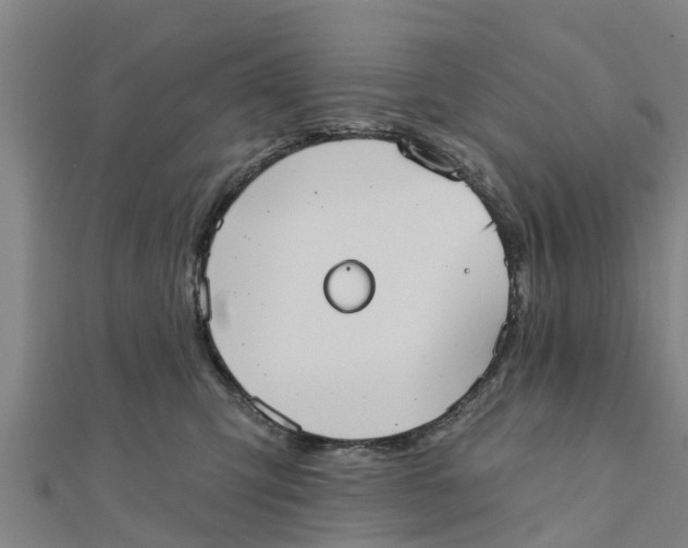 X0000111520423200908041248