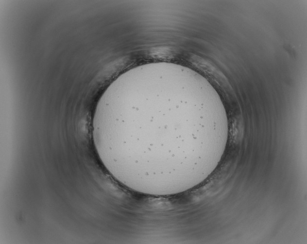 X0000111520424200908041248