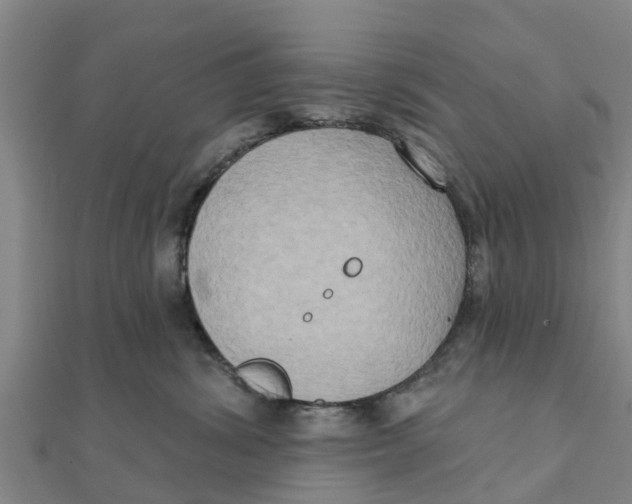 X0000111520428200908041248