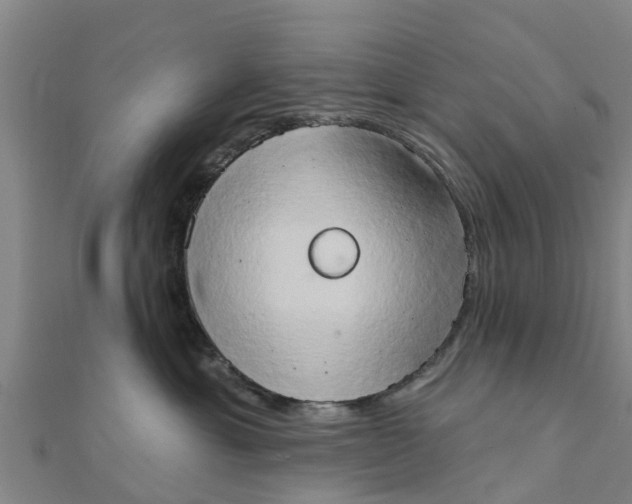 X0000111520429200908041248
