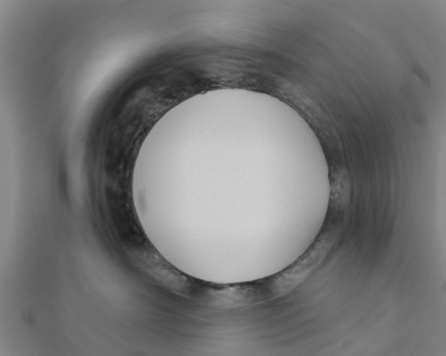 X0000111520430200908041248