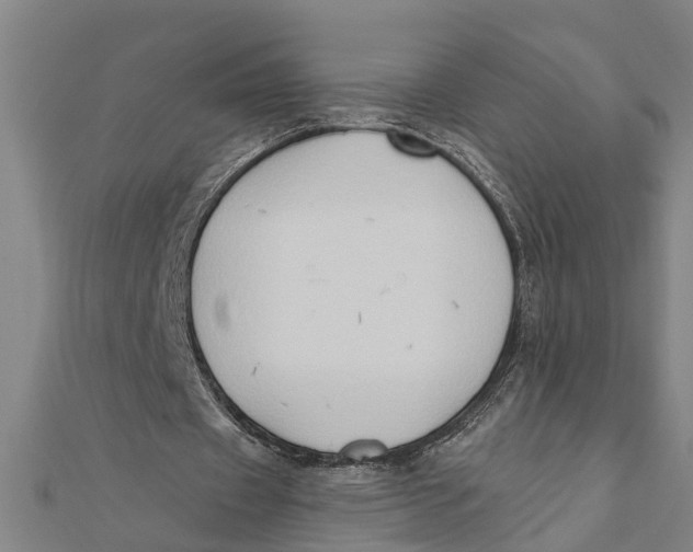 X0000111520433200908041247