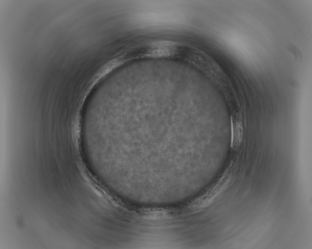 X0000111520435200908041247