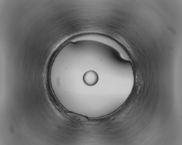 X0000111520436200908041247