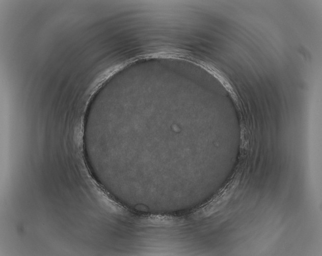 X0000111520437200908041247