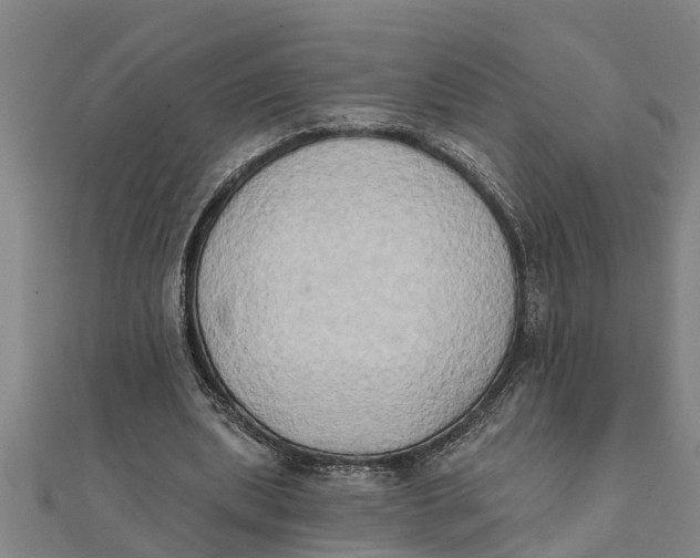 X0000111520439200908041247