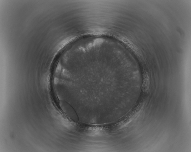 X0000111520440200908041247