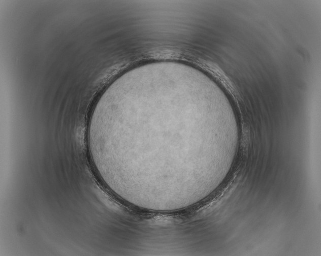 X0000111520441200908041247