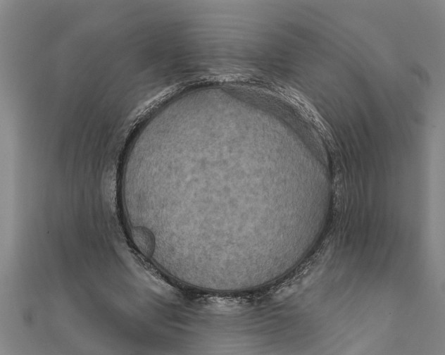 X0000111520442200908041247
