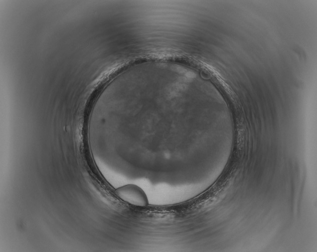 X0000111520443200908041247