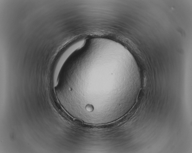 X0000111520444200908041247