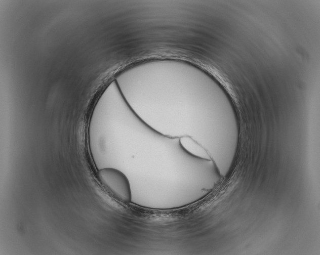 X0000111520445200908041247