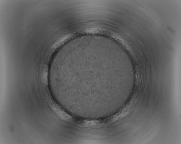 X0000111520446200908041247