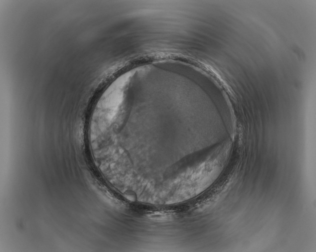 X0000111520447200908041247