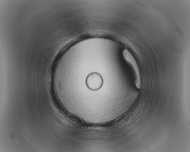X0000111520448200908041247