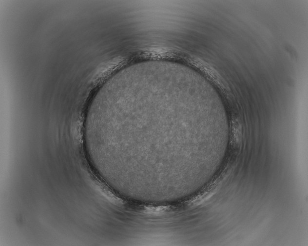 X0000111520450200908041247