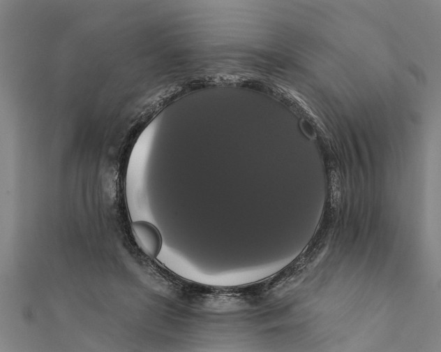 X0000111520451200908041247