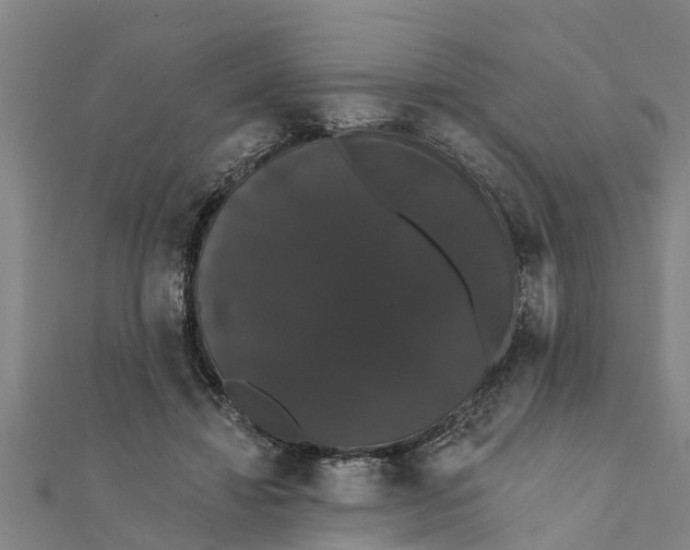 X0000111520452200908041247
