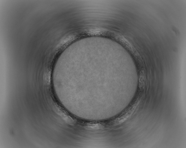 X0000111520454200908041247