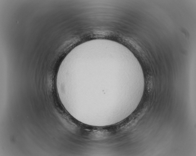X0000111520455200908041247