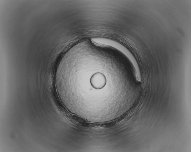 X0000111520456200908041247