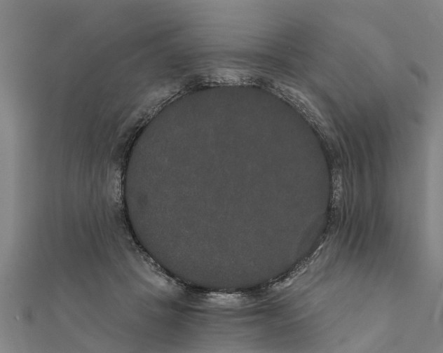 X0000111520457200908041247