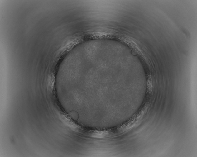 X0000111520458200908041247