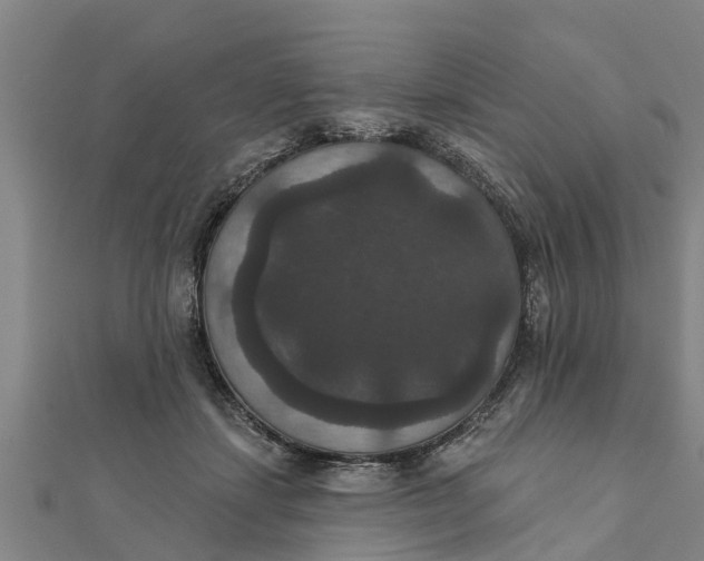 X0000111520459200908041247