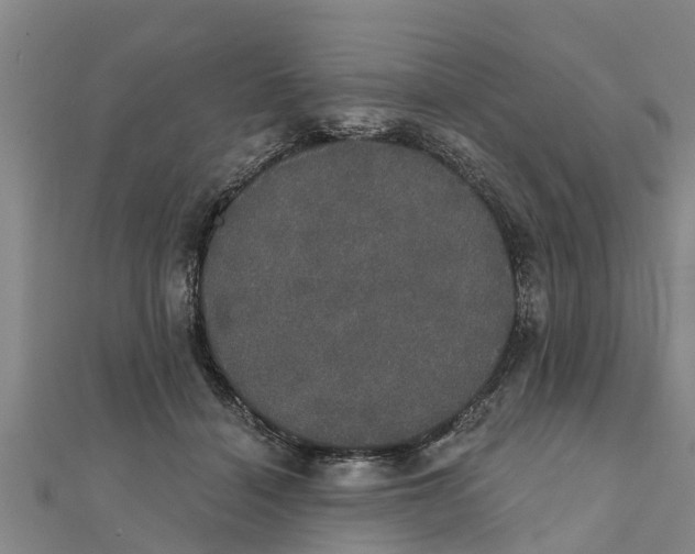 X0000111520460200908041247