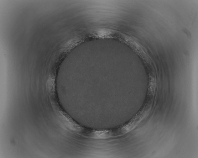 X0000111520461200908041247