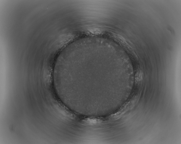 X0000111520464200908041247