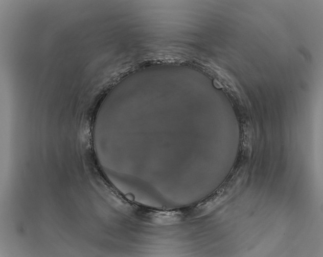 X0000111520465200908041247