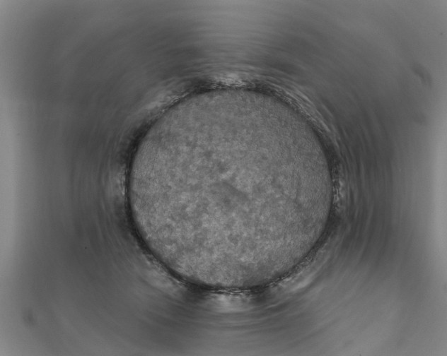 X0000111520466200908041247