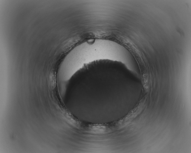 X0000111520471200908041247