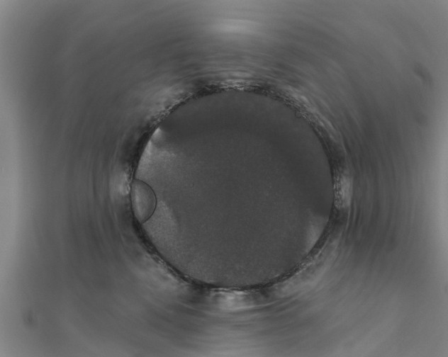 X0000111520472200908041247