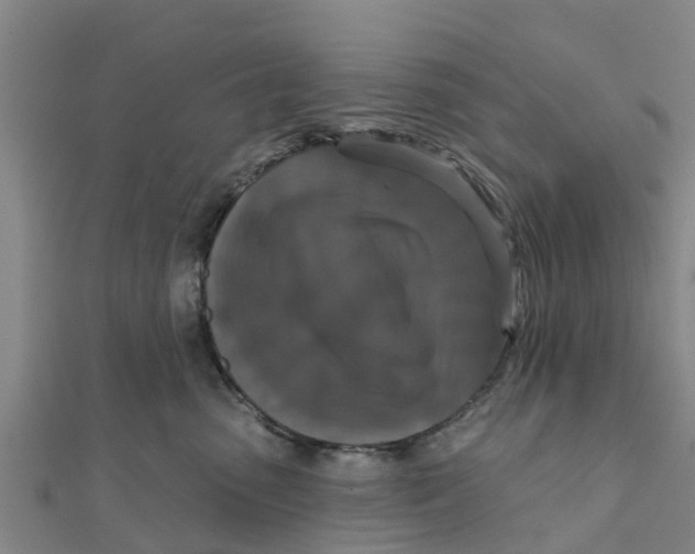 X0000111520475200908041247
