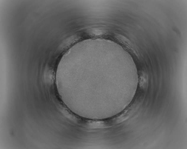X0000111520476200908041247