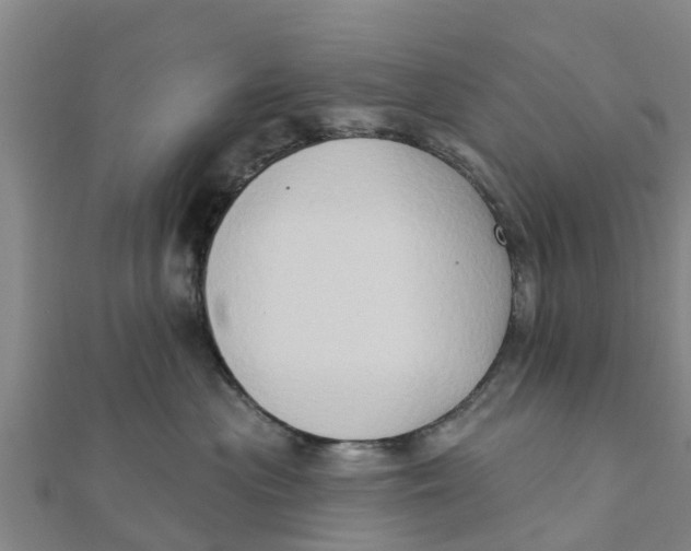 X0000111520477200908041247