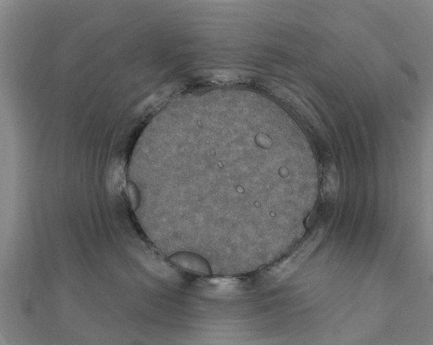 X0000111520478200908041247