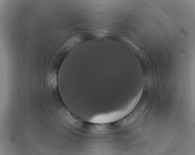X0000111520479200908041247