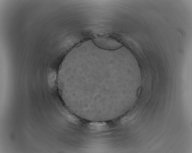 X0000111520480200908041247