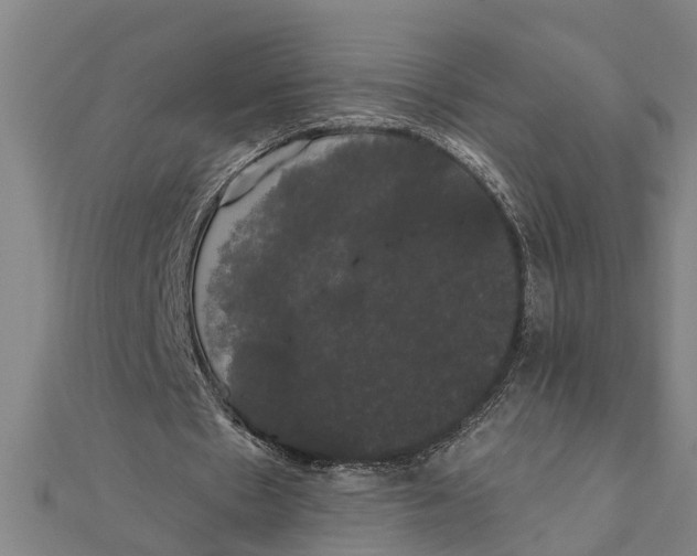 X0000111520481200908041247