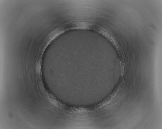 X0000111520483200908041247