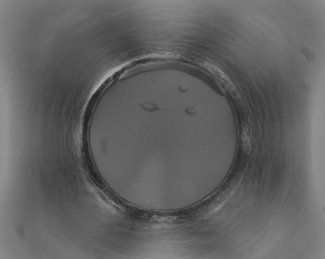 X0000111520484200908041247