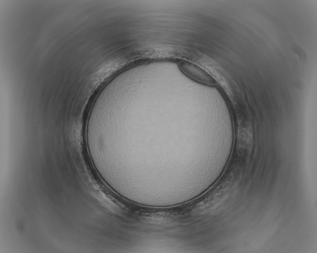 X0000111520485200908041247