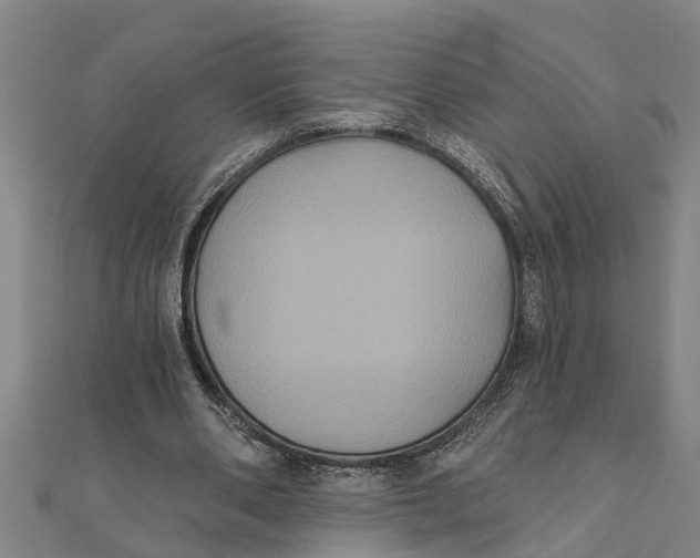 X0000111520486200908041247