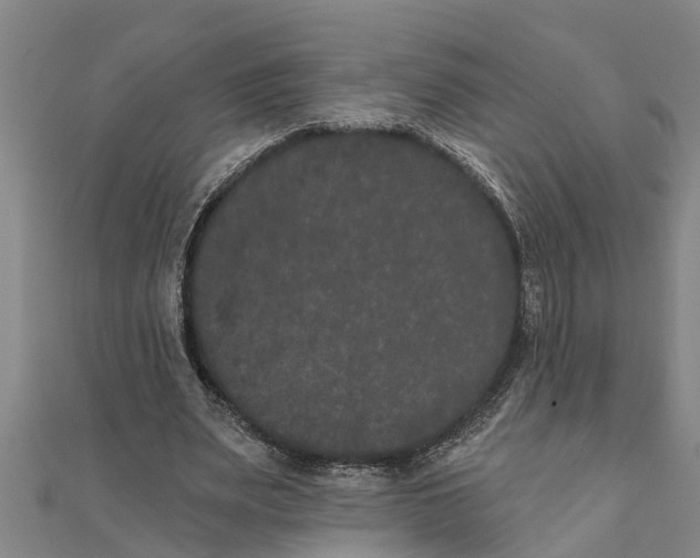 X0000111520487200908041247